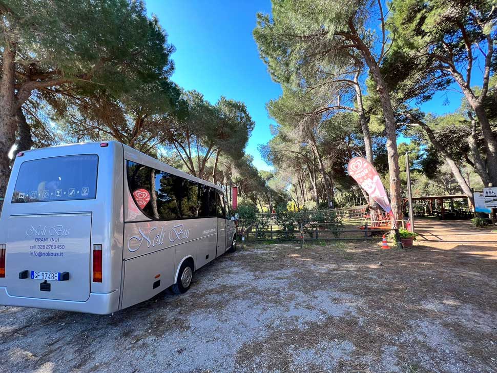 PULLMAN AUTOBUS SARDEGNA NUORO SINISCOLA BUDONI OROSEI ORANI OLIENA DORGALI CALA GONONE CALAGONONE TORTOLI' TORTOLÌ OLBIA SASSARI ORISTANO