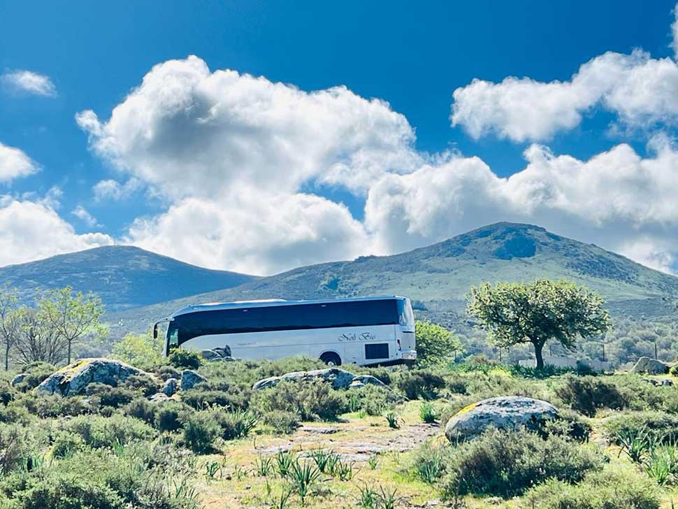 PULLMAN AUTOBUS SARDEGNA NUORO SINISCOLA BUDONI OROSEI ORANI OLIENA DORGALI CALA GONONE CALAGONONE TORTOLI' TORTOLÌ OLBIA SASSARI ORISTANO