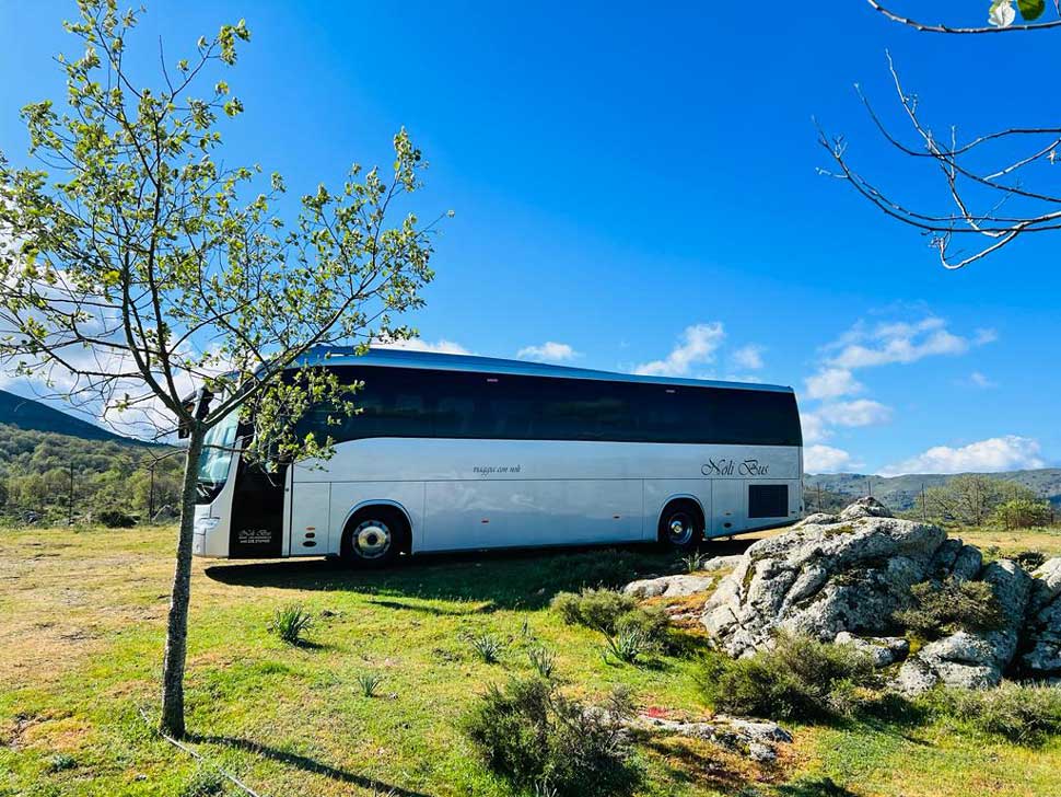 PULLMAN AUTOBUS SARDEGNA NUORO SINISCOLA BUDONI OROSEI ORANI OLIENA DORGALI CALA GONONE CALAGONONE TORTOLI' TORTOLÌ OLBIA SASSARI ORISTANO